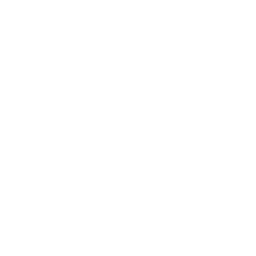 Apple logo white